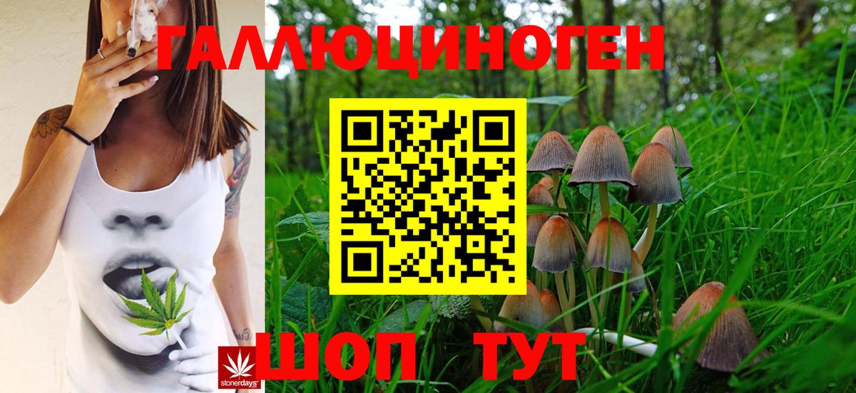 Псилоцибиновые грибы мицелий  Галлюциногенные грибы мухоморы  Владивосток  Вход с VPN 